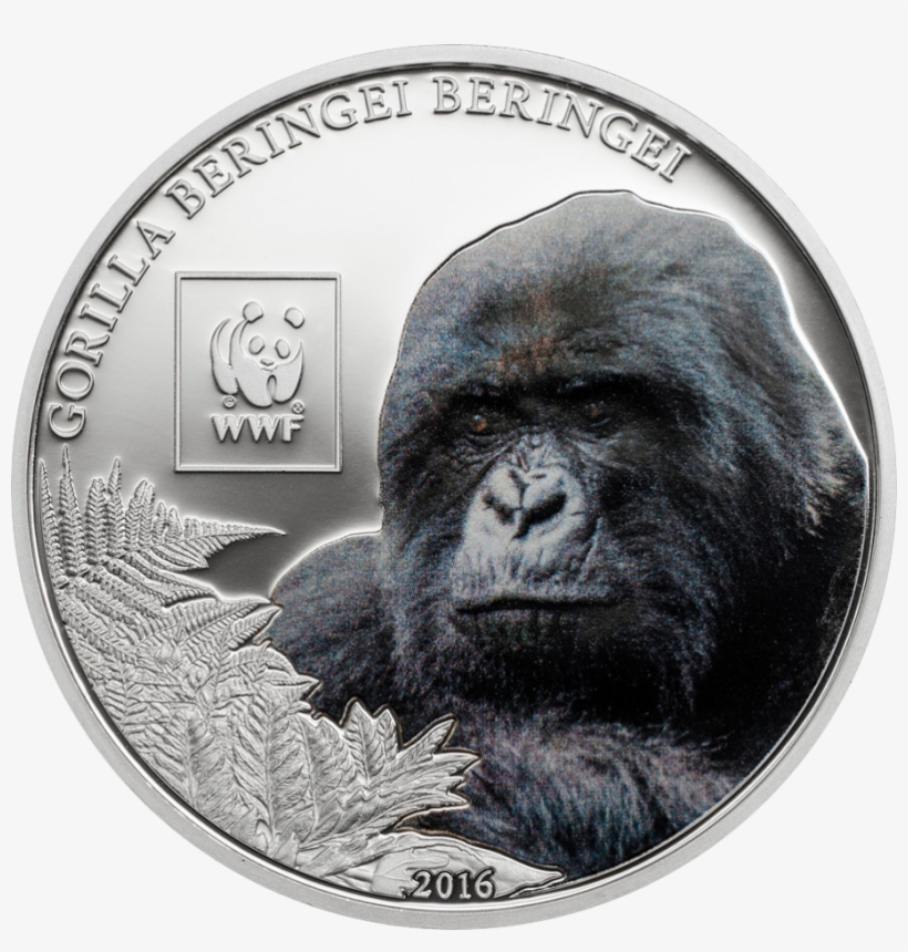 Mountain Gorilla, transparent png download