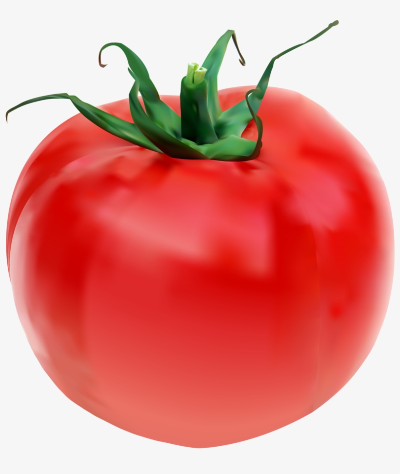 Grid Mesh Tomato - Tomato, transparent png download