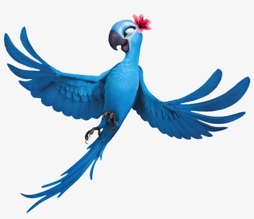 This Product Design Is Hand Drawn Cartoon Parrot Transparent - Rio Clipart, transparent png download