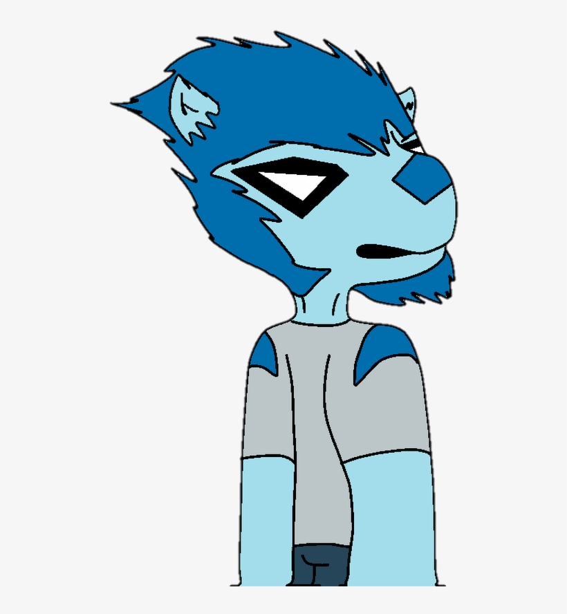 Photo - Photograph, transparent png download