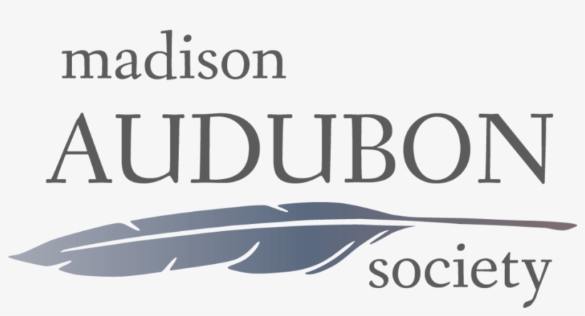 Mas-gradientlogo - Portable Network Graphics, transparent png download