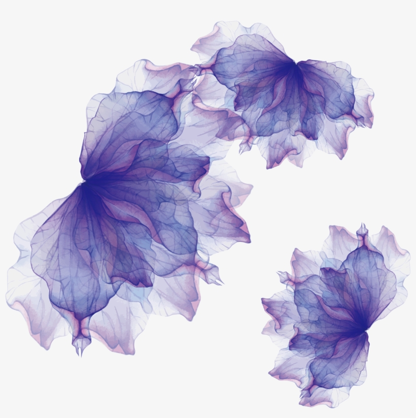 Adobe Illustrator Euclidean Lavender - Lavender Floral Png, transparent png download