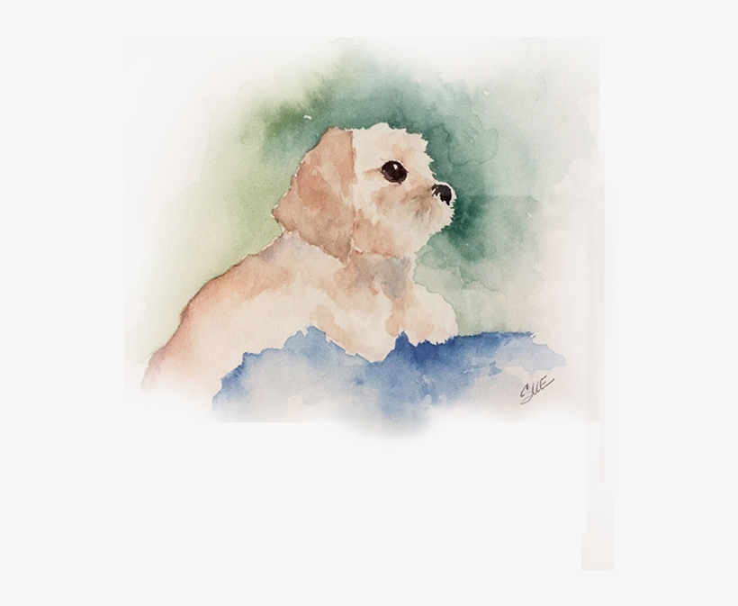 Clipart Transparent Download Sue Greco Paints Artist - Watercolor Paint, transparent png download