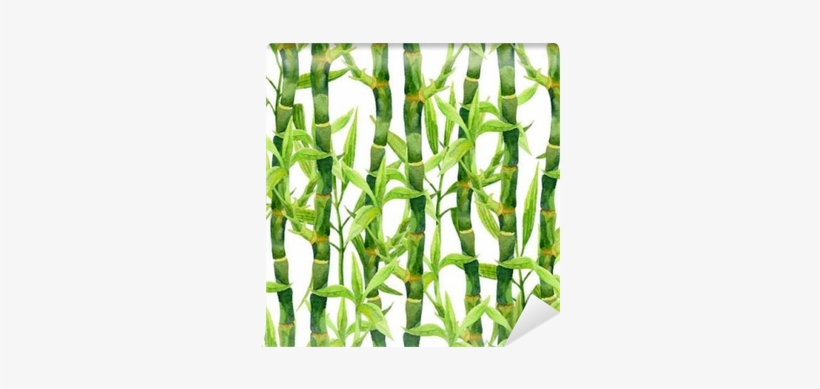 Bamboo Watercolor Seamless Pattern Wall Mural • Pixers® - Бамбук И Панда Рисунок, transparent png download