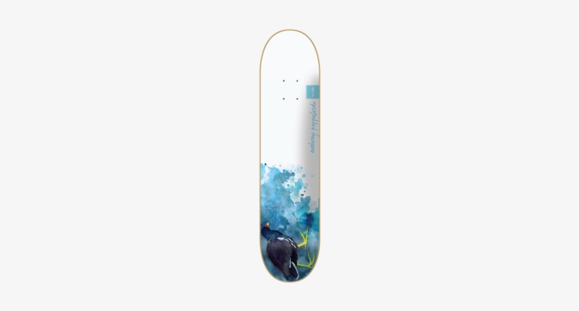 Chocolate Skateboards Pappalardo Bird Watercolor Skateboard - Chocolate Skateboard Decks, transparent png download