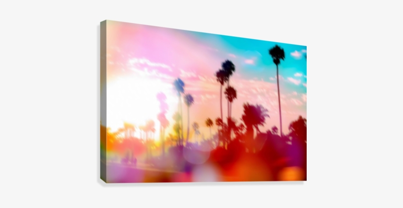 Palm Tree With Sunset Sky And Light Bokeh Abstract - Abstract Palm Tree Art, transparent png download