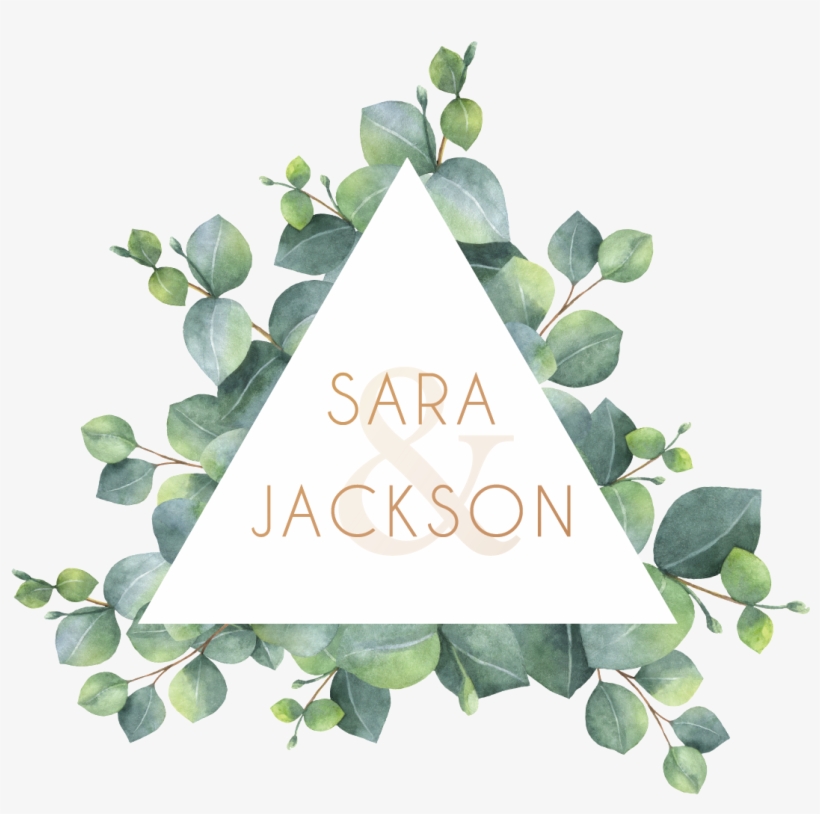 Watercolor Silver Leaf Eucalyptus Branch Png Free - Watercolor Eucalyptus Leaf Drawing, transparent png download