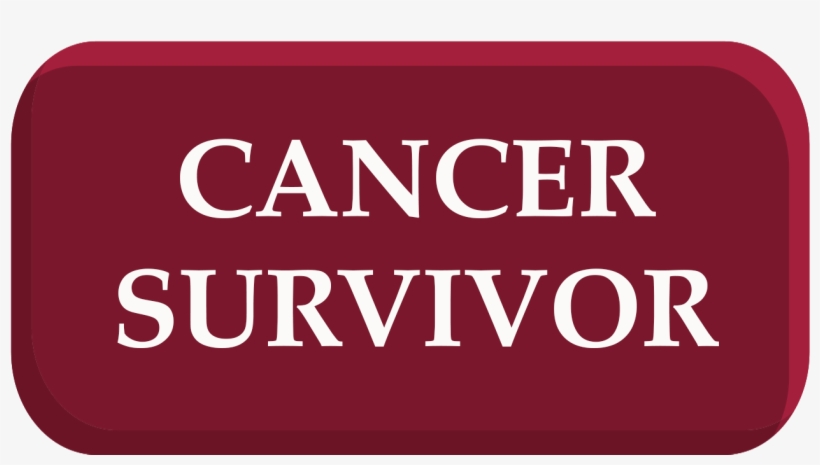 When She's Not Speaking Or Coaching, Paula Enjoys Watercolor - Cerveteri Calcio, transparent png download