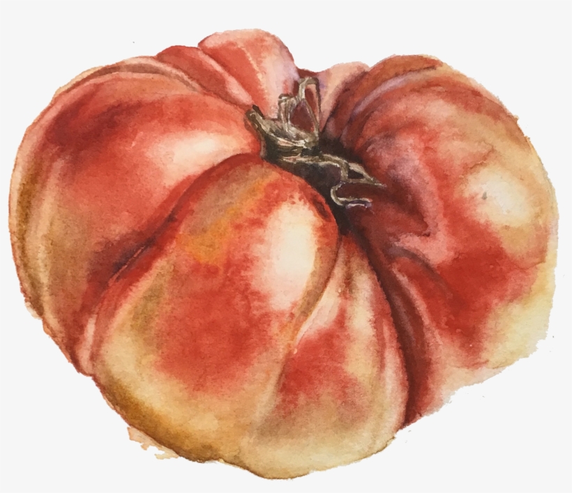 Tomato, transparent png download