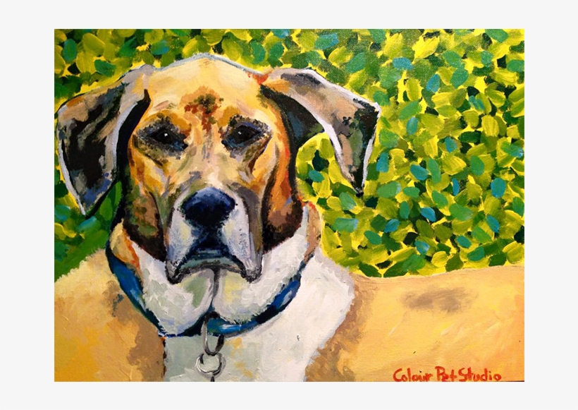 Latest Projecs - Great Dane, transparent png download