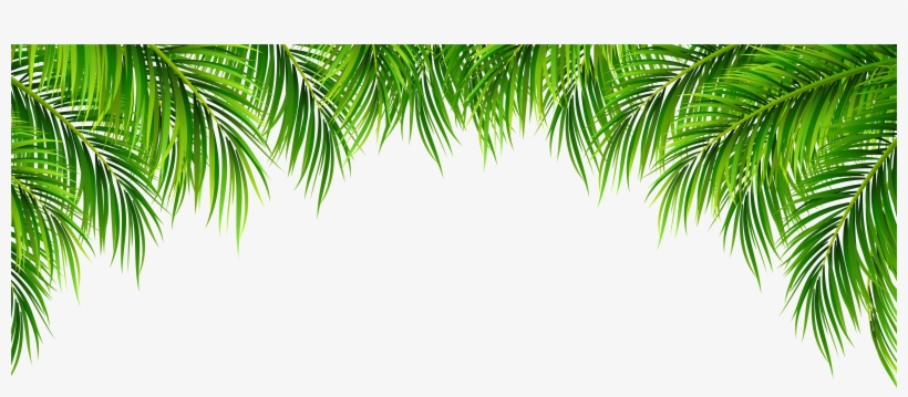 Palm Leaves Decor Png Clip Art Image, transparent png download