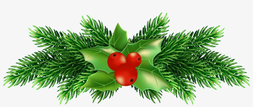 Christmas Holly Pine Png Clip Art Image - Christmas Day, transparent png download
