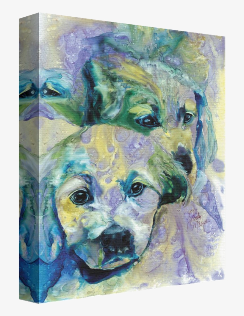 Puppy Pile Golden Retriever Stretched Canvas - Rainbow Card Company Lc141pp 20 X 30, transparent png download