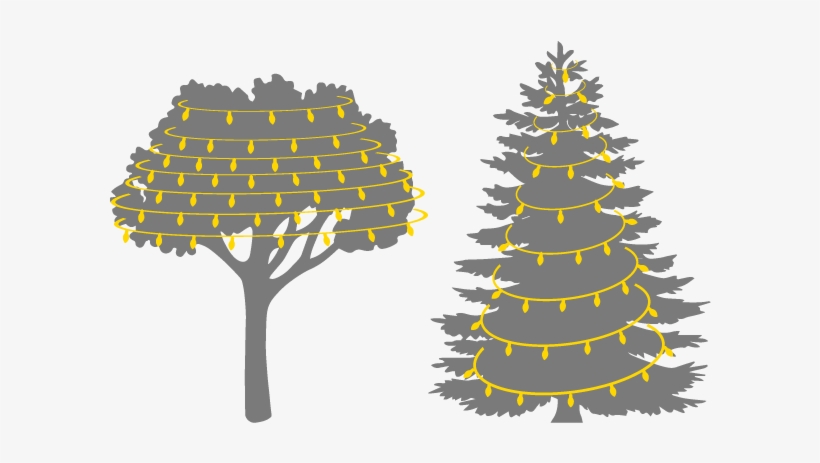 Christmas Tree Light Installation - Pine Tree Silhouette Free, transparent png download