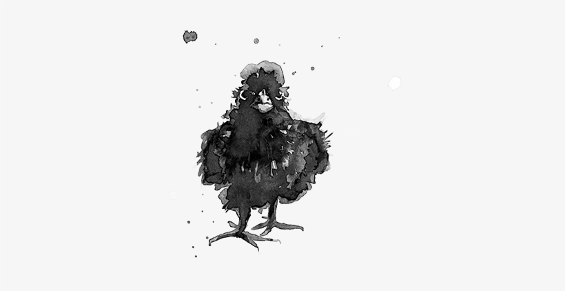 Classes Crow - Illustration, transparent png download