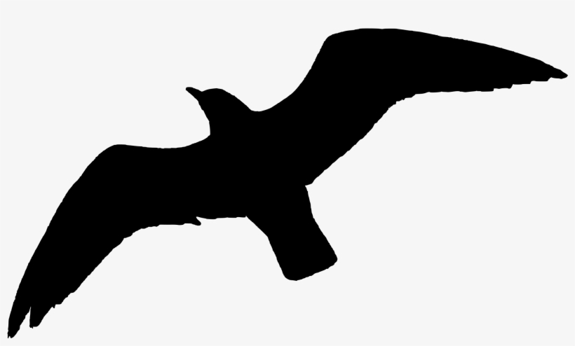 Filered Billed Gull In Flight Silhouette - Bird Silhouette Flying Png, transparent png download