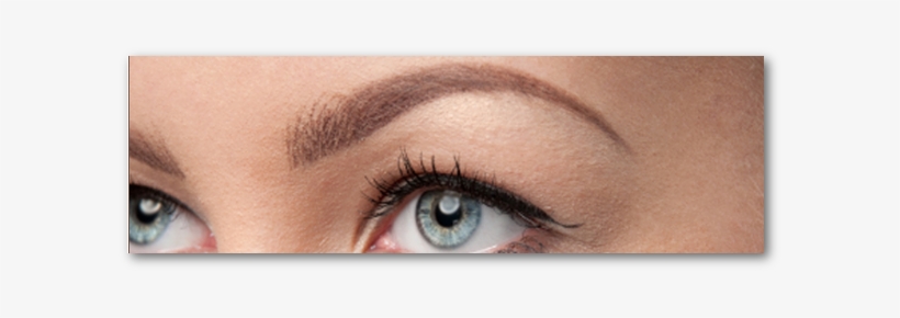 Finding The Best Shape For Your Eyebrows Can Be Difficult - Make-up Ogen, transparent png download