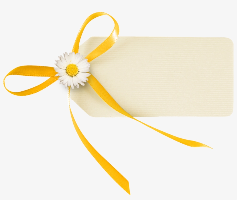 Gift, transparent png download