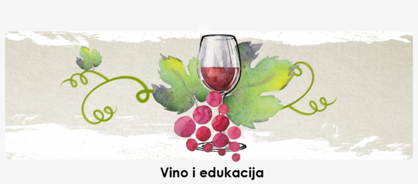 Vino I Edukacija - Wine, transparent png download