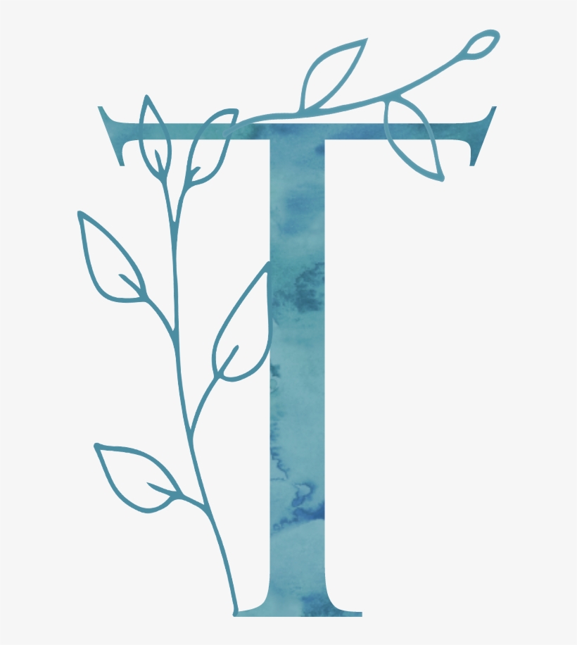 Designed To Thrive Creative - Drawing, transparent png download