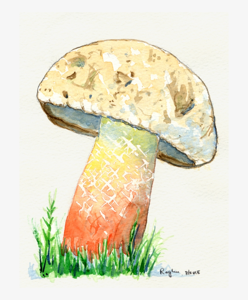 A Recent Article In Physical Review Letters Reports - Visual Arts, transparent png download