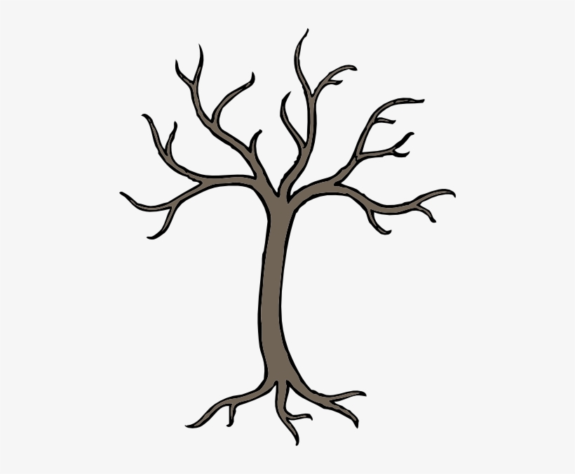 Branches On A Tree, transparent png download