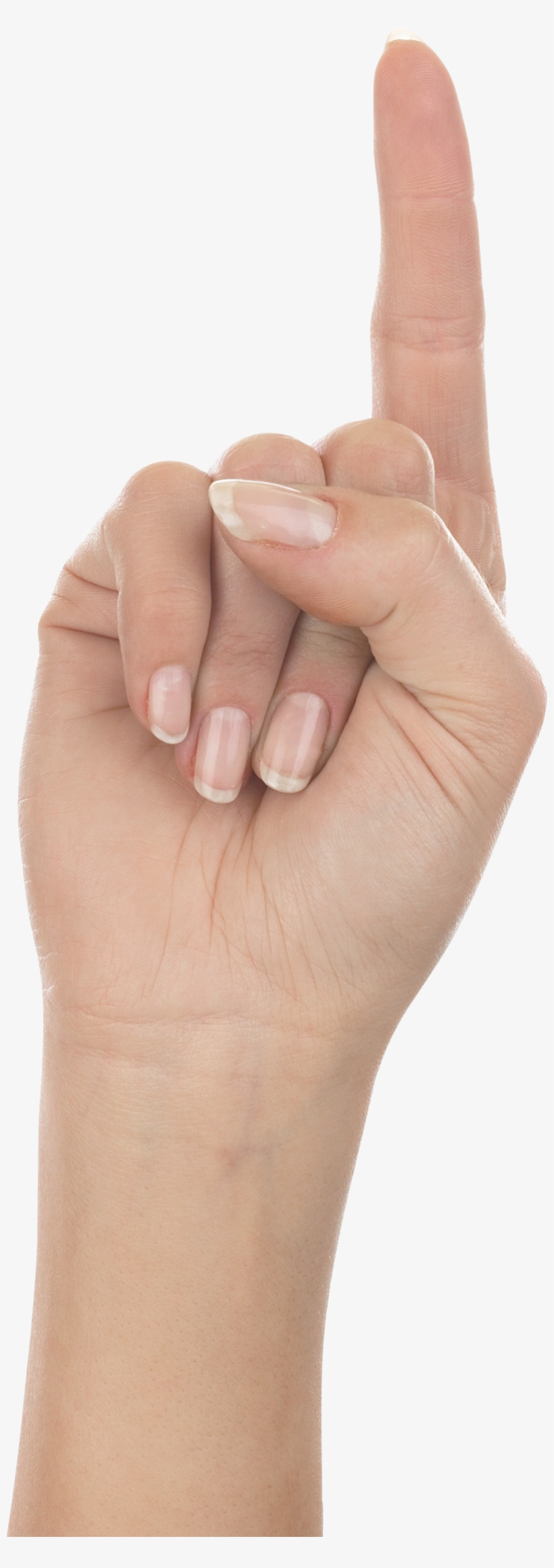 Download - Hand Up Png, transparent png download