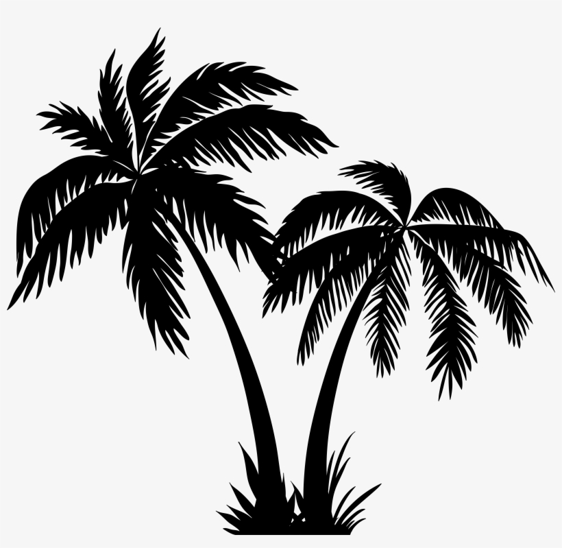 Palm Trees By The Water, Wallpapers Sorted, transparent png download