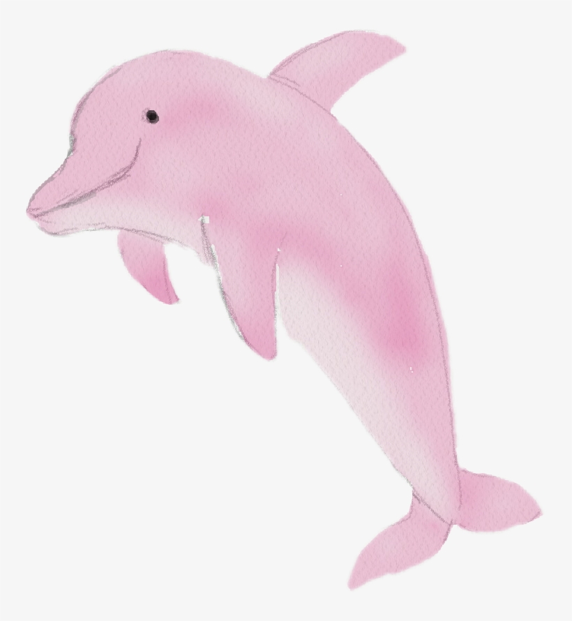 Baby Golfinho Dolphin Aquarela Watercolor Catarinazs - Watercolor Painting, transparent png download