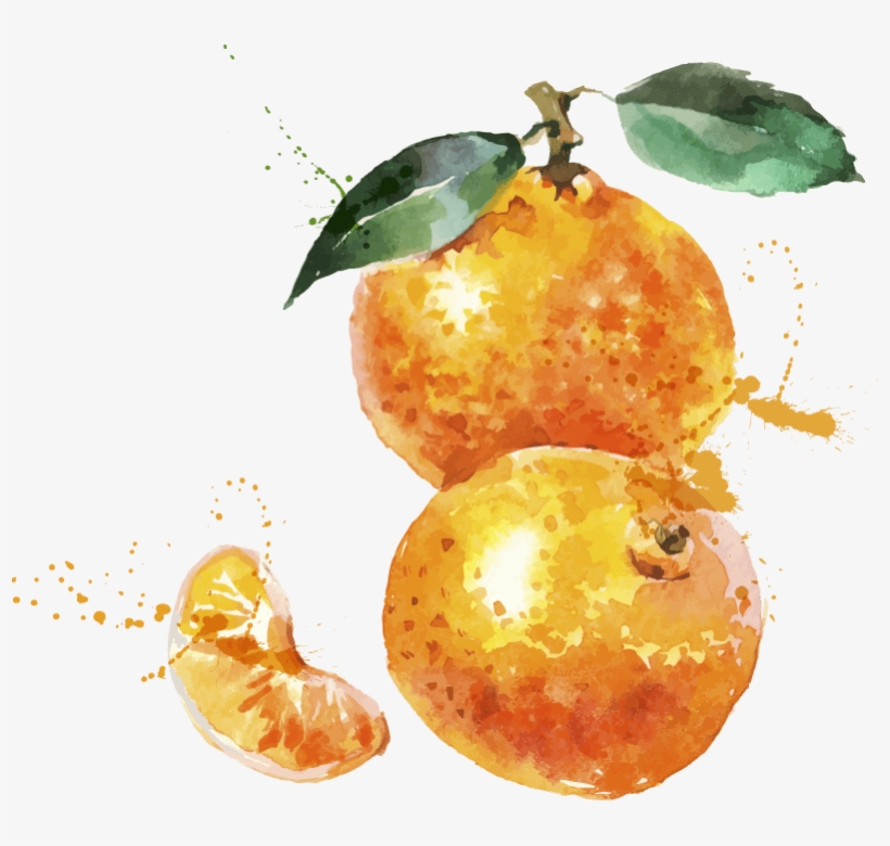 Quýt Làm Cam Chịu, transparent png download