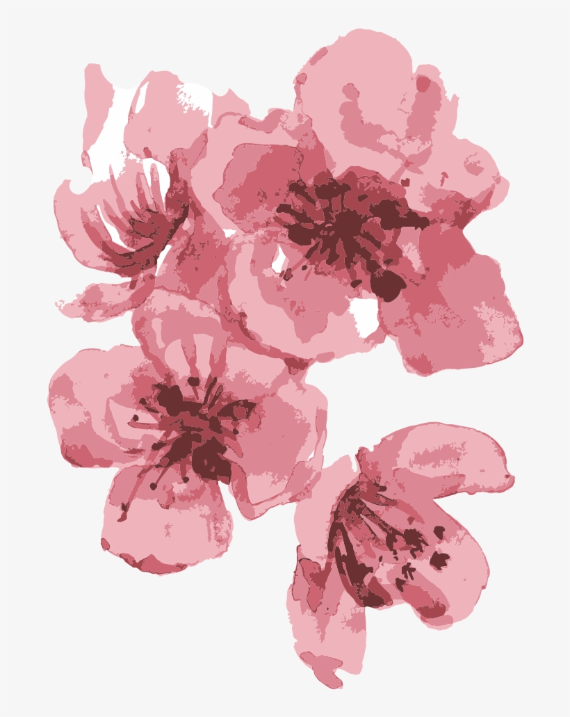 Visit Our Event Site - Catering, transparent png download