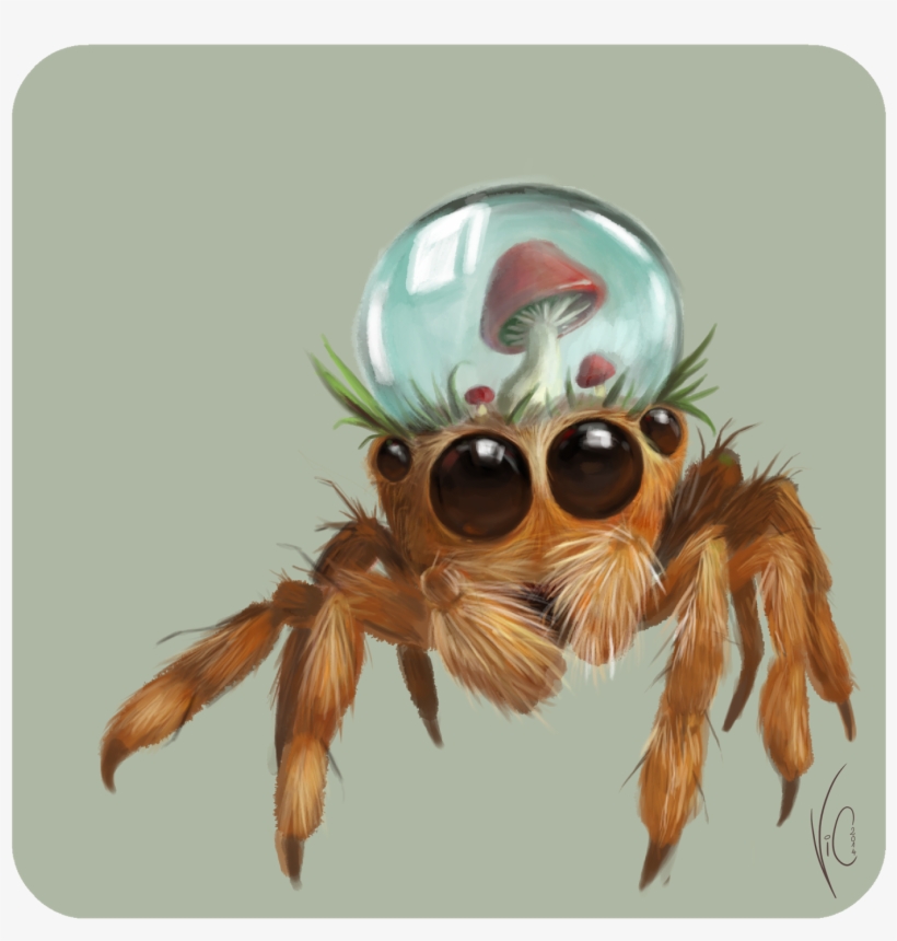 Hybrid Jump Spider By Vicoline Art - Jumping Spider Concept, transparent png download