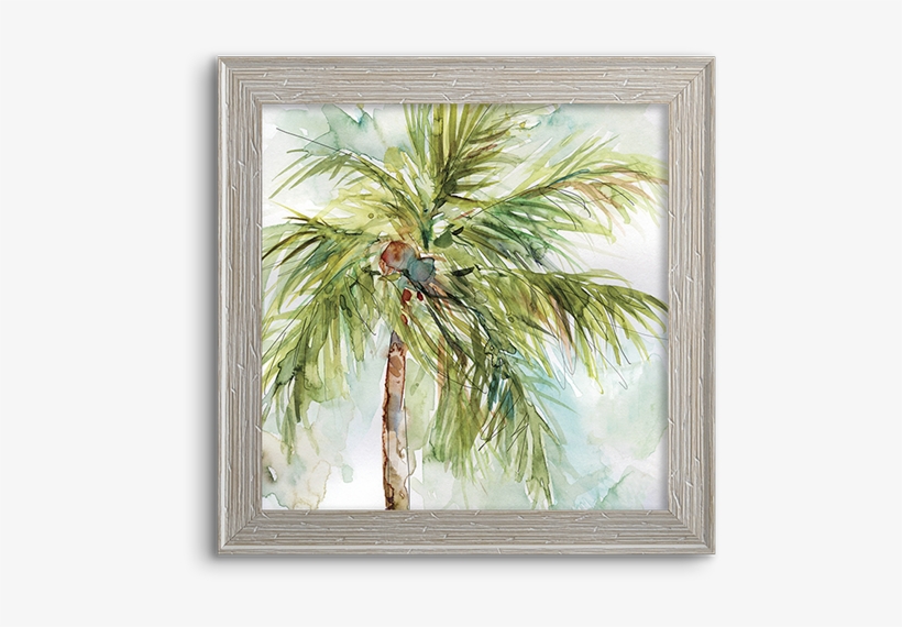 Coconut Palm - Palm Trees, transparent png download
