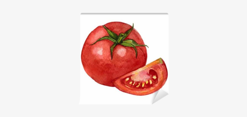 Tomate Gezeichnet, transparent png download
