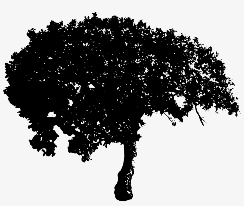Free Download - Tree In Black Transparent, transparent png download