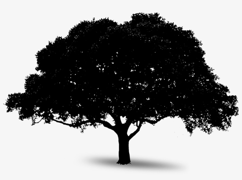Large Tree Black Silhouette Png - Love God, Heal Earth: 21 Leading Religious Voices Speak, transparent png download