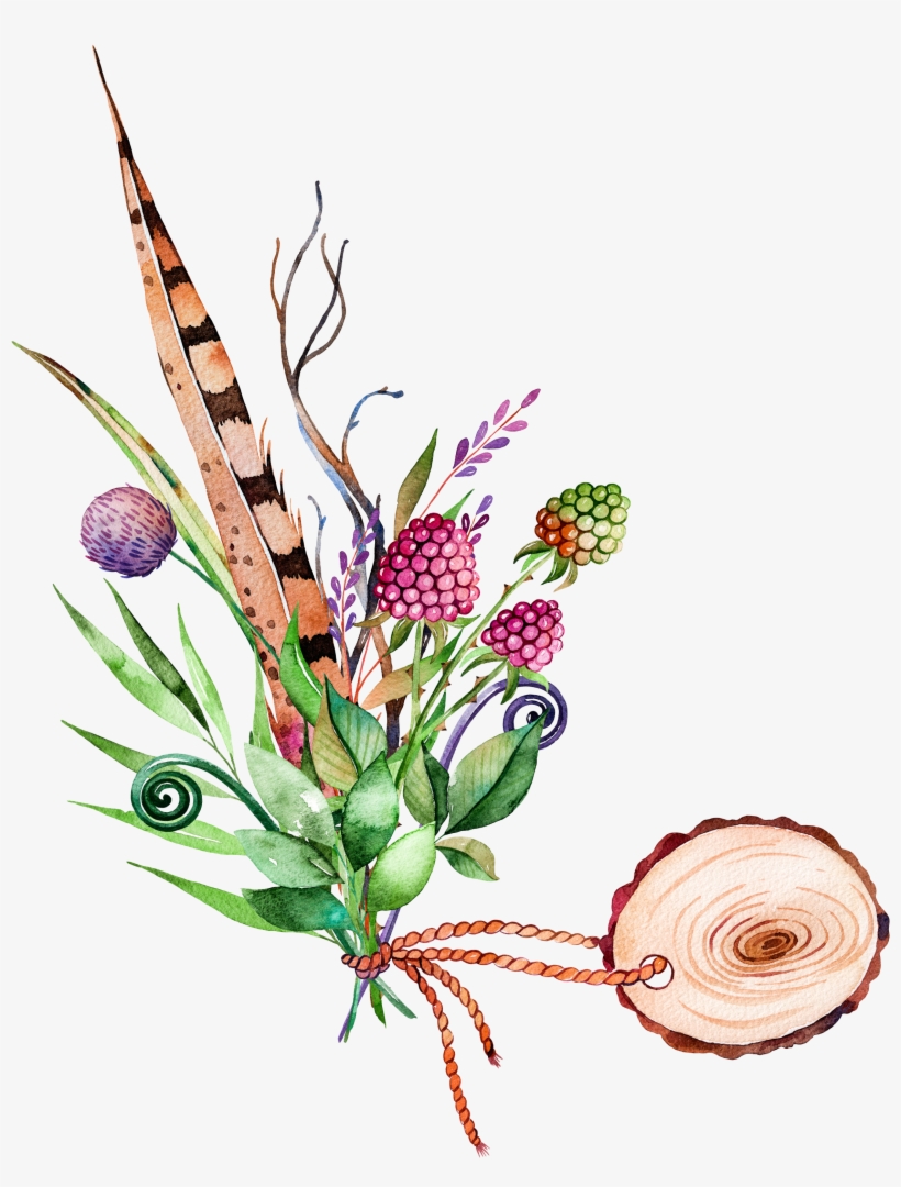 Clip Black And White Download Cilantro Drawing Watercolor - Painting Images On Plants, transparent png download