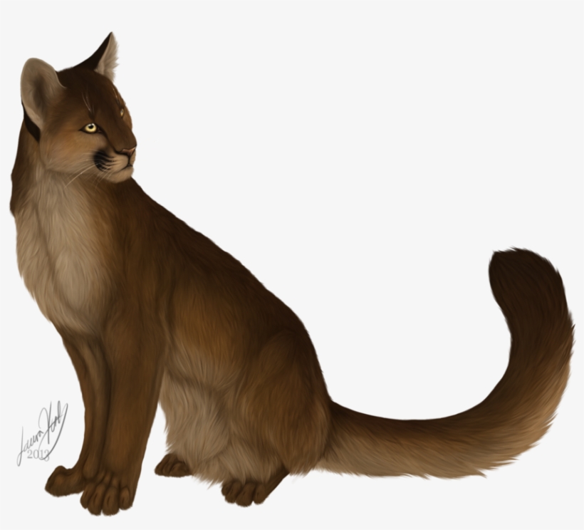 Mountain Lion By Xxcougarxx On Deviantart Royalty Free - Painting, transparent png download