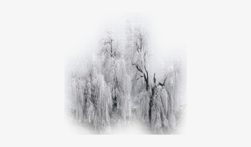 winter snow tree paysages d hiver png png image transparent png free download on seekpng winter snow tree paysages d hiver png