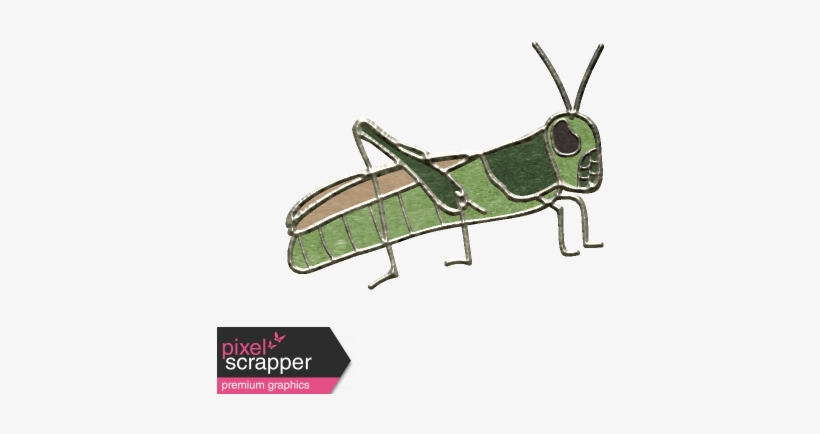 Cricket - Digital Scrapbooking, transparent png download