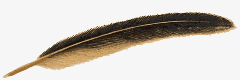 feather pen png png images png cliparts free download on seekpng