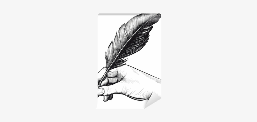 Drawing Of Hand With A Feather Pen Wall Mural • Pixers® - Drawings Of A Hand Writing, transparent png download