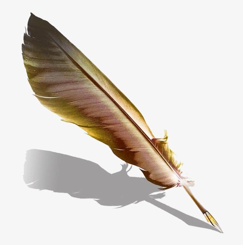 Quill Fountain Pen Transprent - Fountain Pen Feather, transparent png download