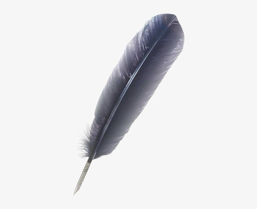 Feather Pen Png - Feather, transparent png download