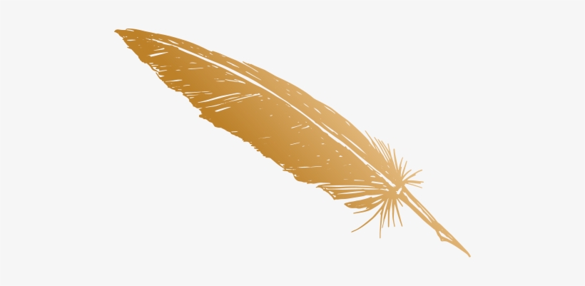 Find Us - Feather, transparent png download