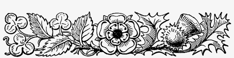Decorative Floral Art Border Image - Thistle Rose Transparent Clipart, transparent png download