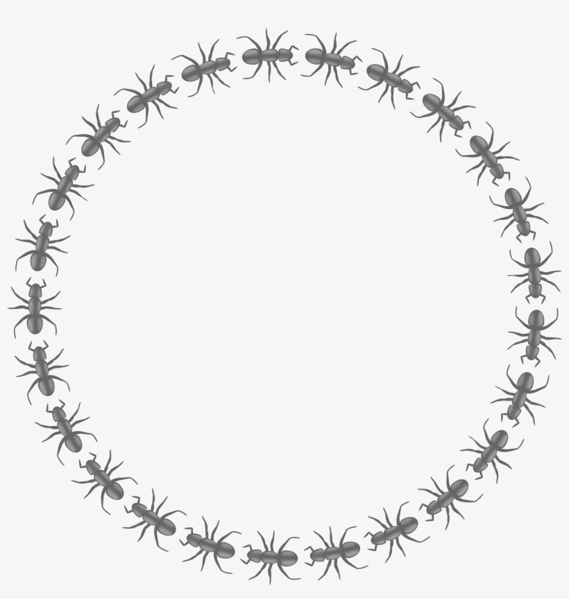 Clipart Ant Border Circle Big Image Png - Circle Border Gif Png, transparent png download