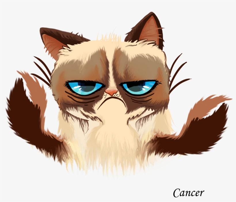 Grumpy Cat Cancer Horoscope - Grumpy Cat Horoscope, transparent png download