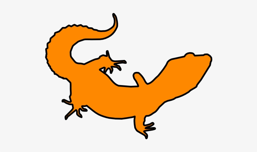 Leopard Gecko Lizard Stock Photo - Leopard Gecko Outline, transparent png download