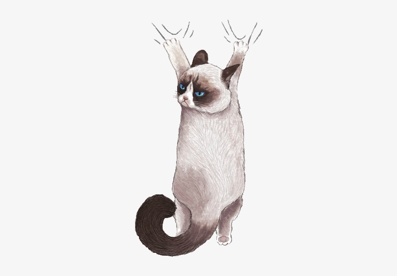 Your Own Images And Videos On We Heart It - Hanging Cat Illustration, transparent png download